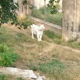 小虫5681头像