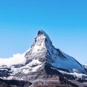 白给鸟的个人资料头像