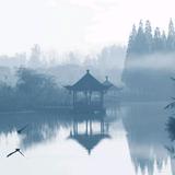 白又兎头像