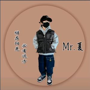 Mr丶夏丶山之巅头像