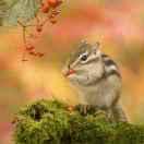 悠悠同学的个人资料头像