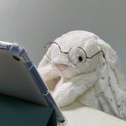 TechRabbit的个人资料头像