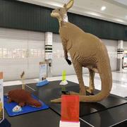 薛中会的个人资料头像