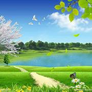 芸芸705的个人资料头像