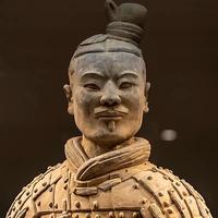 自若面条3b7头像