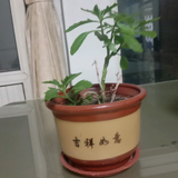 浦城县好物共享百货店头像