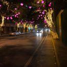 1本尊41984的个人资料头像