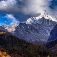 我是新年快乐张晓厚头像