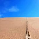 南山大山的个人资料头像