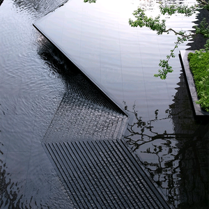 芭蕉夜雨浓头像