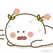 掉落的果实的个人资料头像