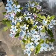Morningstar910的个人资料头像