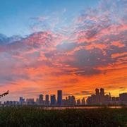 Davansy的个人资料头像