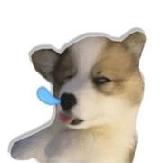 Kong386的个人资料头像