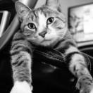 KTN的个人资料头像