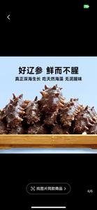 源来情参（shen）头像