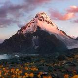 直率芒果2wj头像