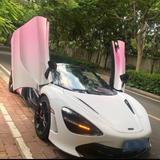 周华健5317头像