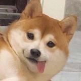 赖呱呱丶头像