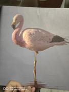 左儿耳的个人资料头像