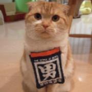 shuiyouren2的个人资料头像
