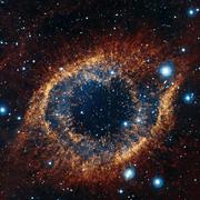 831143的个人资料头像