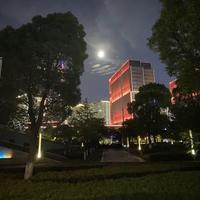 用脚步去丈量2022头像