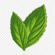 sunatec的个人资料头像