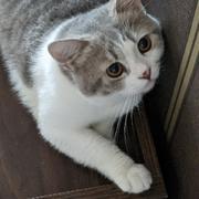 yleip的个人资料头像