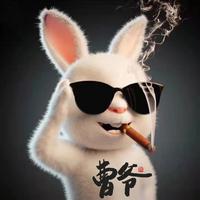 般若雅佳115头像