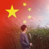 龍星邪头像