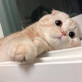 你会发芽么837头像