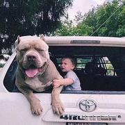 Haru801的个人资料头像