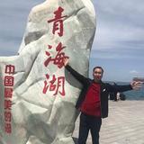 甘心情愿头像