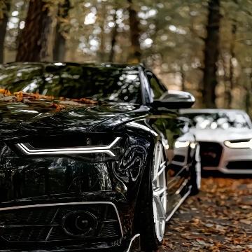 茶氨酸说车头像