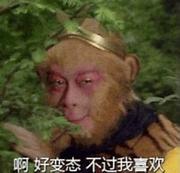 陈没痘的个人资料头像