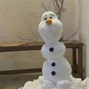 Rune的个人资料头像