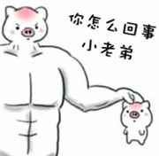 你可以叫我sk的个人资料头像
