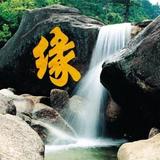 AA且行且珍惜367头像