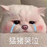 用户7185813837377头像