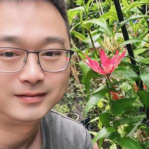 狮子座的小花园头像