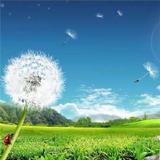 阿豪1049头像