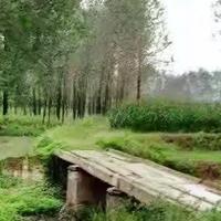 清凉的早晨615头像