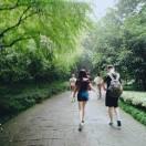 不负如来不负卿同志的个人资料头像