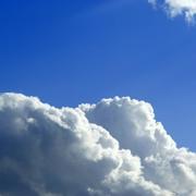 datapulse的个人资料头像