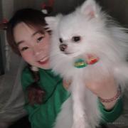 小白菜又可怜又很菜的个人资料头像