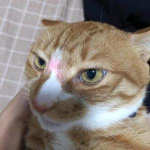 Java实现批量下载多文件 夹 压缩包 Zip 掘金