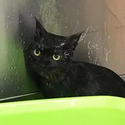 豆浆机要榨果汁的个人资料头像