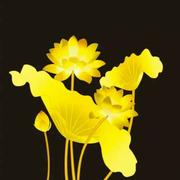 平安785的个人资料头像