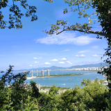 浅草迷路头像